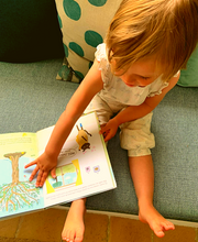 Charger l'image dans la galerie, Cibou découvre les secrets du potager